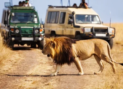 Kenya-Tourism