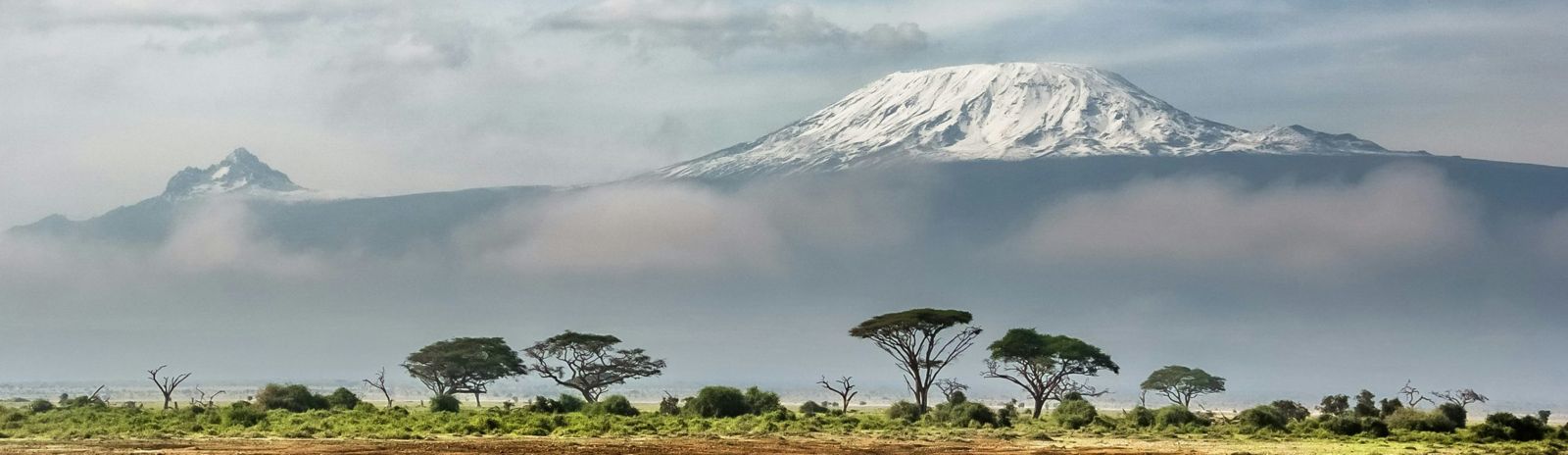 Dinar Holding Kenya business operations